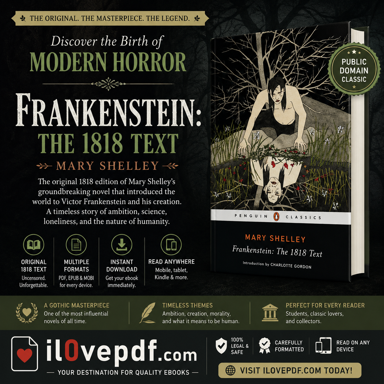 ChatGPT Image May 18, 2026, 12_54_36 PM Frankenstein: The 1818 Text - Image 1